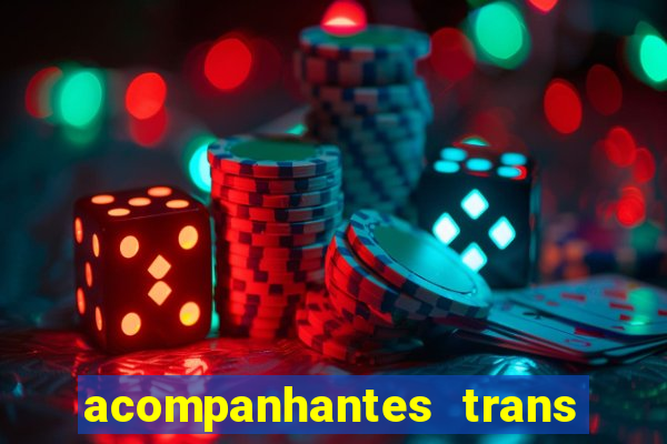 acompanhantes trans baixada fluminense